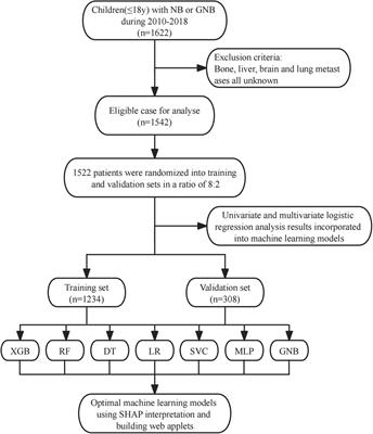 A clinical prediction model for distant metastases of pediatric neuroblastoma: an analysis based on the SEER database